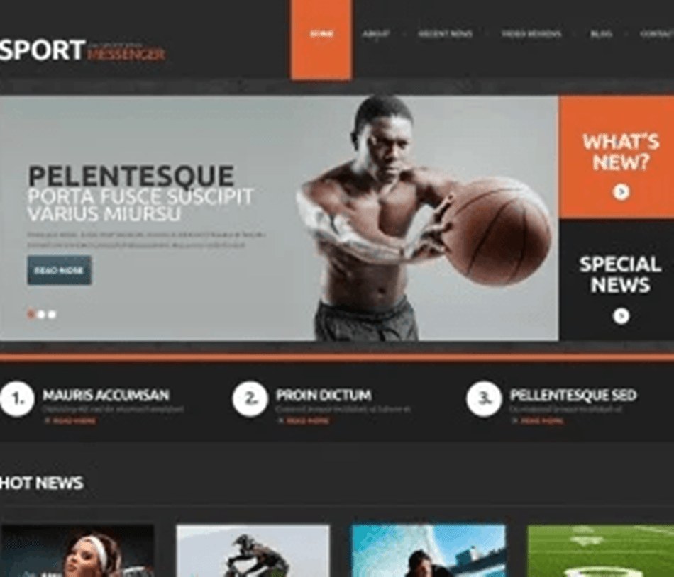 Best Sports News Website provider